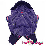 FW858-2020 F,  For My Dogs, Фор Май Дог, Зимний комбинезон *Полоска*, фиолетовый,  для девочек, фото 2