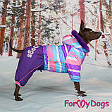 FW858-2020 F,  For My Dogs, Фор Май Дог, Зимний комбинезон *Полоска*, фиолетовый,  для девочек, фото 3