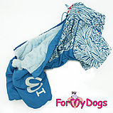 FW836-2020 M,  For My Dogs, Фор Май Дог, Зимний комбинезон голубой, для мальчиков, фото 4