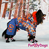 FW843-2020 M,  For My Dogs, Фор Май Дог, Зимний комбинезон *Бордо*, для девочек, фото 4