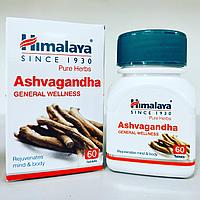 Ашваганда (Ashvagandha Himalaya) - для иммунитета, силы и энергии организма, 60 таб