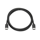 Кабель DisplayPort Cable Kit HP VN567AA (2 м)