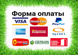 Форма оплаты любая,платежные карточки в том числе 1