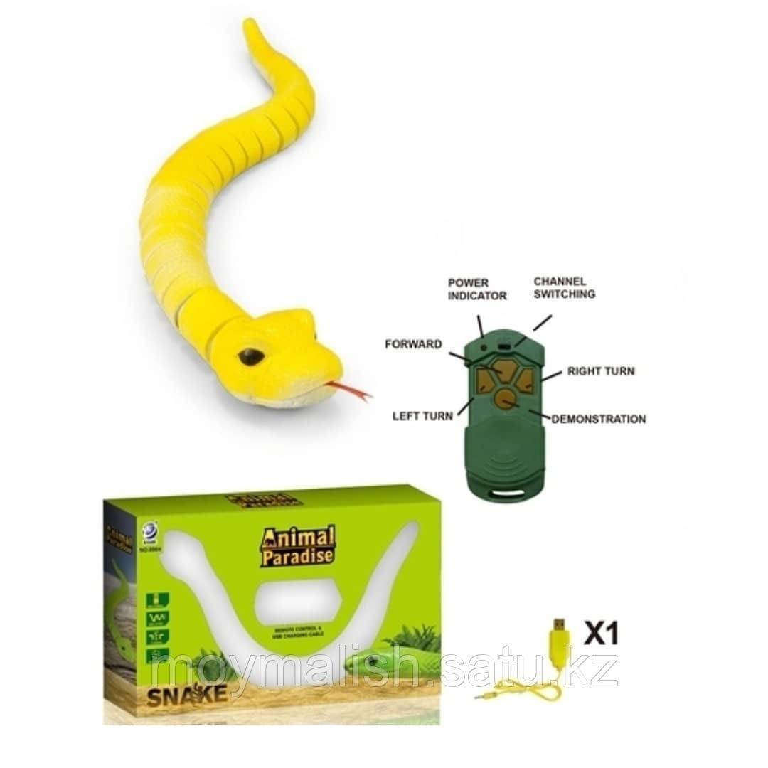 Игрушечная змея на радиоуправлении, арт. 8904 - фото 4 - id-p81162481