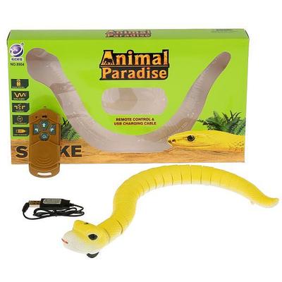 Қара әйелдермен жыныстық қатынас әдемі секс фотосуреттері