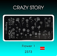 Пластина для стемпинга Crazy story Flower