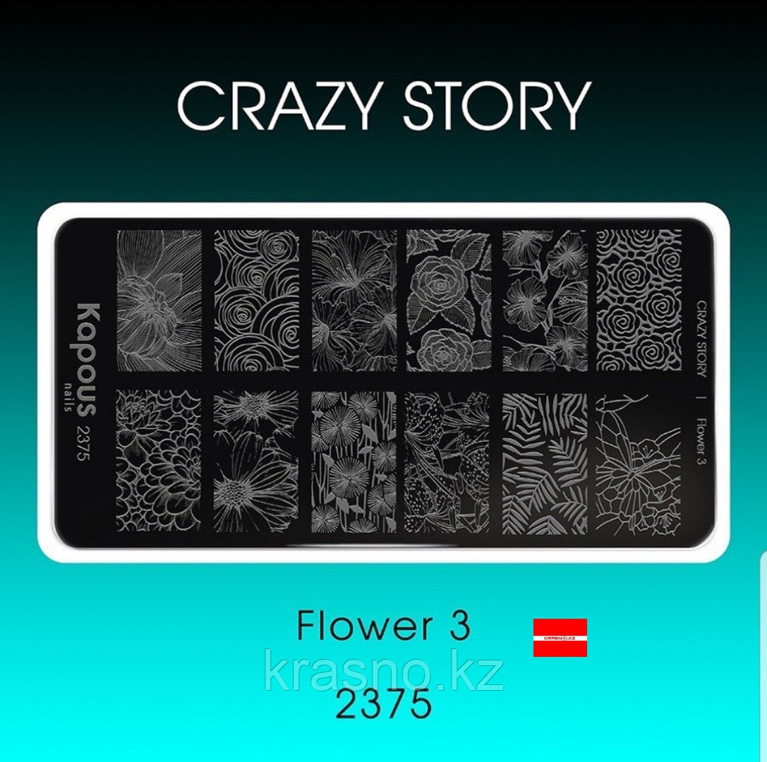 Пластина для стемпинга Crazy story Flower - фото 3 - id-p81167116