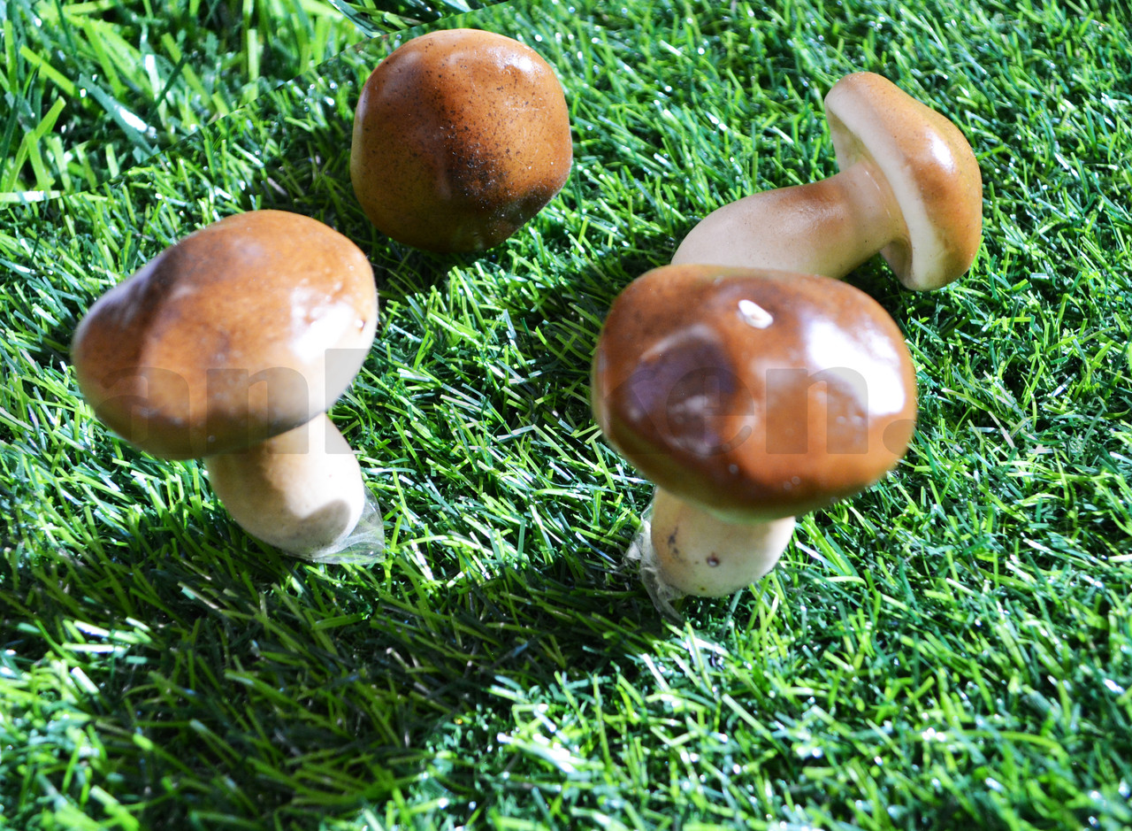 Искусственные грибы дубовик с коричневой шляпкой муляж 10 шт - фото 5 - id-p81167886