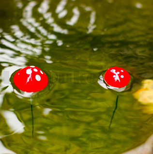 Олар мені ұялы телефонның видеосын сорғызуға мәжбүр етті.