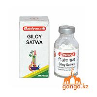 Гилой Сатва натуральный антибиотик (Giloy satwa BAIDYANATH), 10 гр