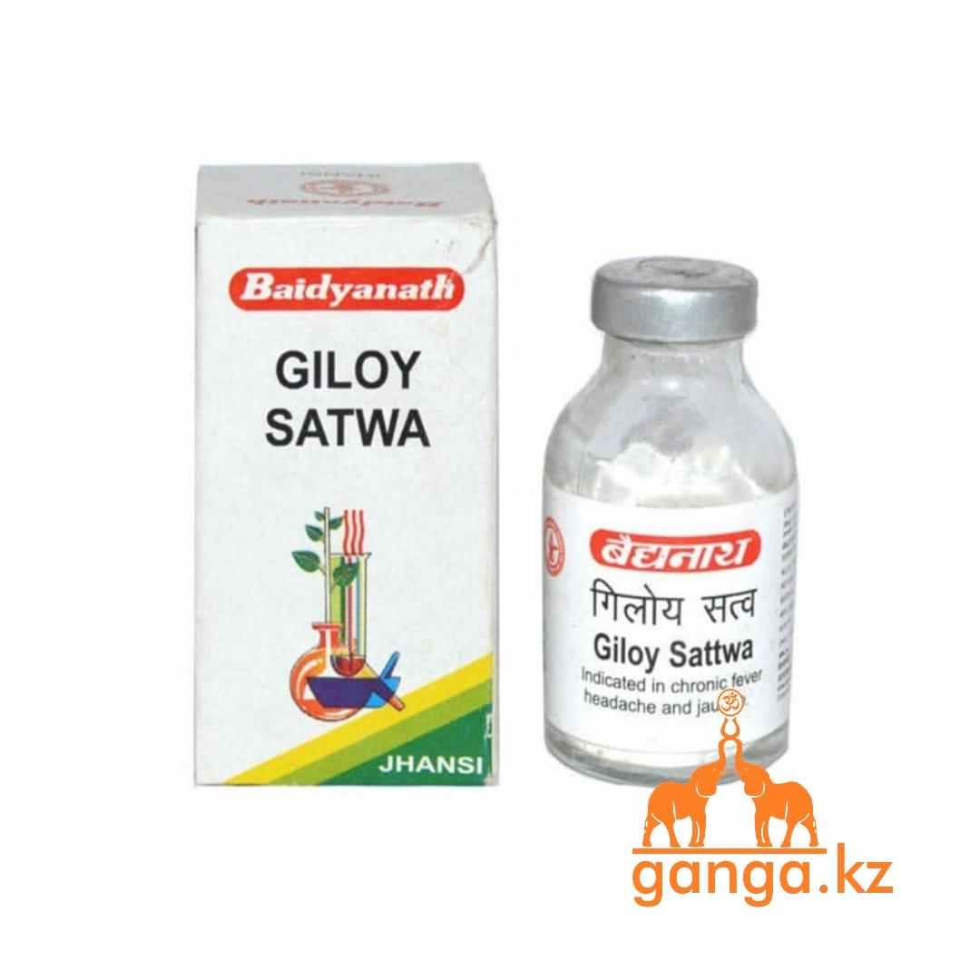 Гилой Сатва натуральный антибиотик (Giloy satwa BAIDYANATH), 10 гр - фото 1 - id-p81169011