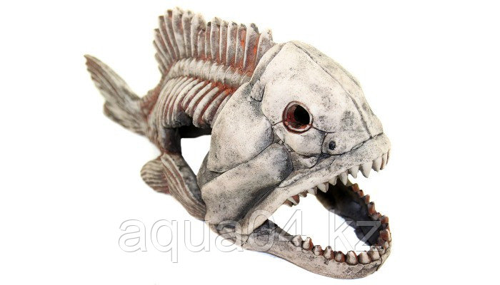 DEKSI Скелет рыбы №904 (Декорация) - фото 2 - id-p81174563