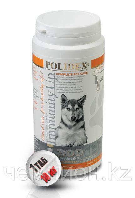 POLIDEX Immunity Up, Полидекс Имунити Ап, витамины для поднятия иммунитета, уп.300 табл. - фото 1 - id-p81274382