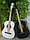 Акустическая гитара Agnetha APG-E110C, фото 3
