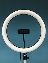 Кольцевая лампа LED 32см с держателем для смартфона