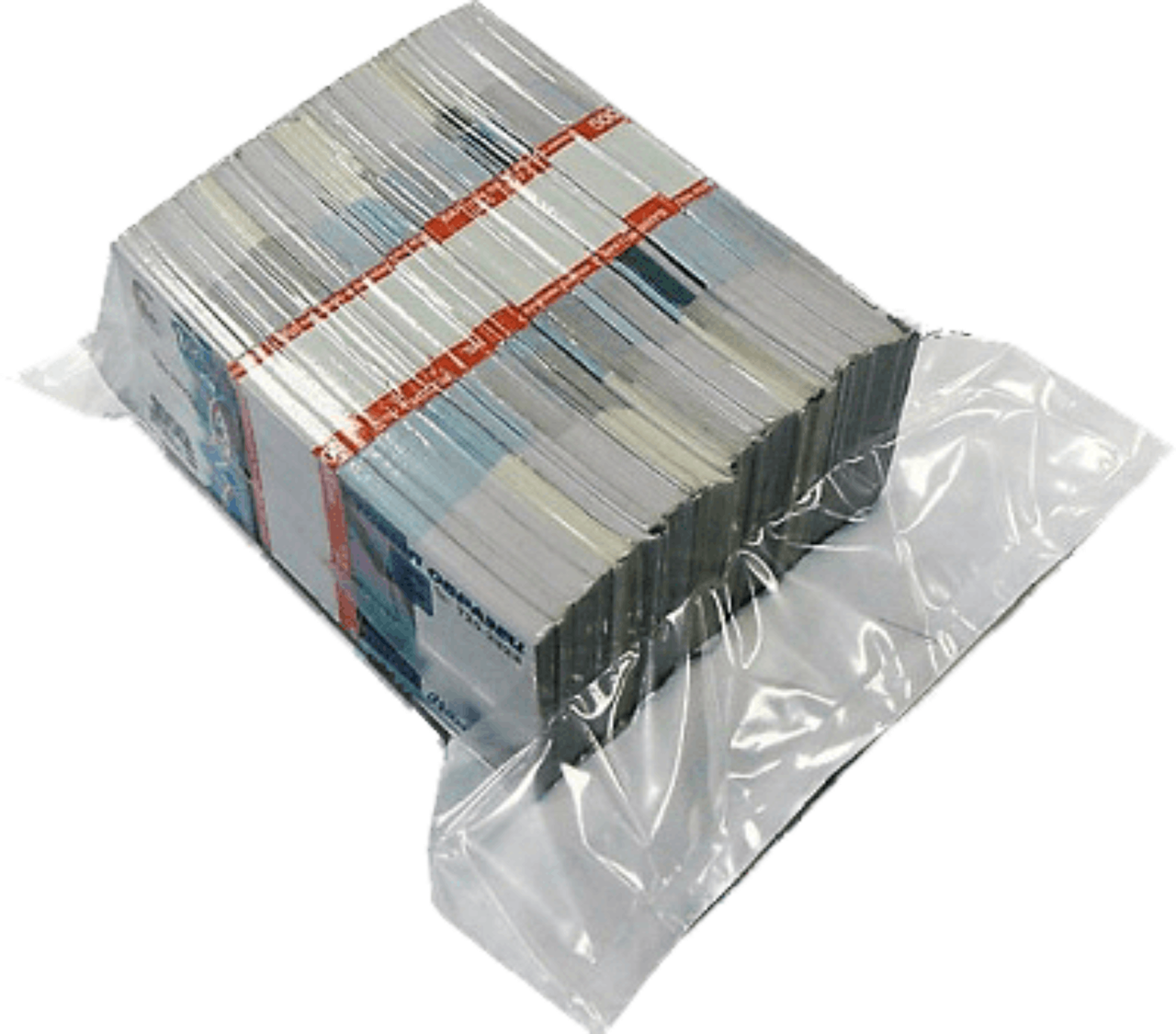 Пакеты - мешки для банкнот - фото 1 - id-p81308107