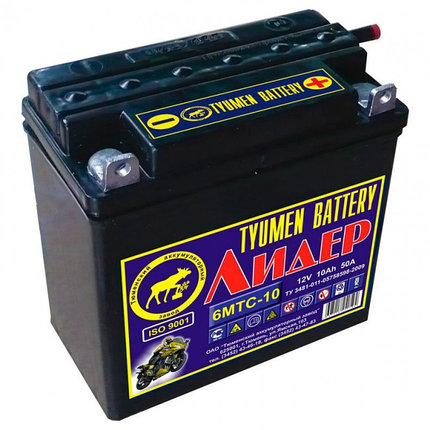 Аккумуляторная батарея Tyumen Battery Лидер 12В 9-10Ач, фото 2