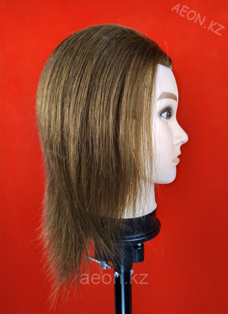 Голова-манекен мужской шатен волос (100%) - 40 см - фото 3 - id-p81357808