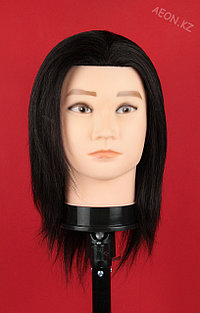 Голова-манекен мужской брюнет волос (100%) - 40 см