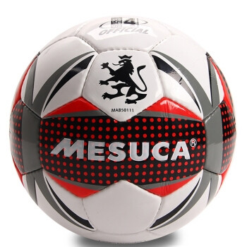 Мяч футбольный MESUCA (4) - фото 1 - id-p81379940