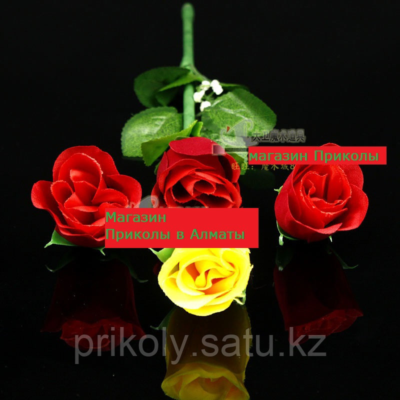 Безграничная роза - фото 1 - id-p81452208