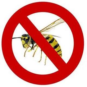 Уничтожение ос