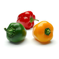 Таңқурай писькасының фотосы