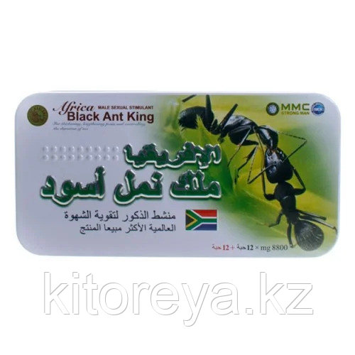 Африканский черный муравей - Africa Black Ant King