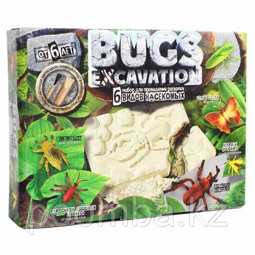 Набор для проведения раскопок Bugs Excavation Насекомые (Огнецветка малая, Жук Геркулес)