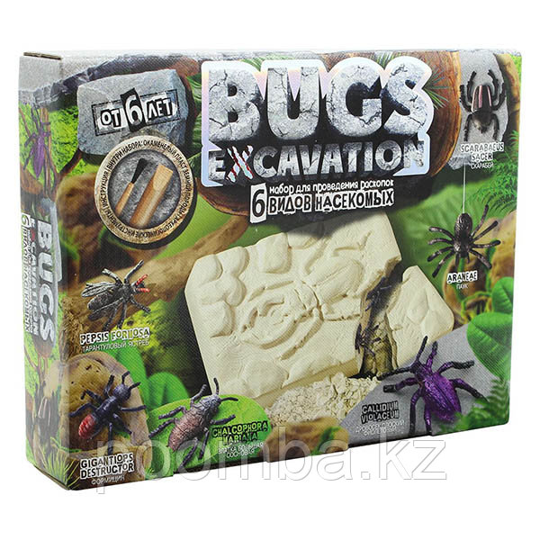 Набор для проведения раскопок Bugs Excavation Насекомые (Формицин, Дровосек плоский фиолетовый)