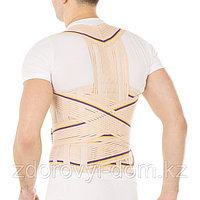 Корректор осанки для взрослых Т.50.29 (Т-1779)