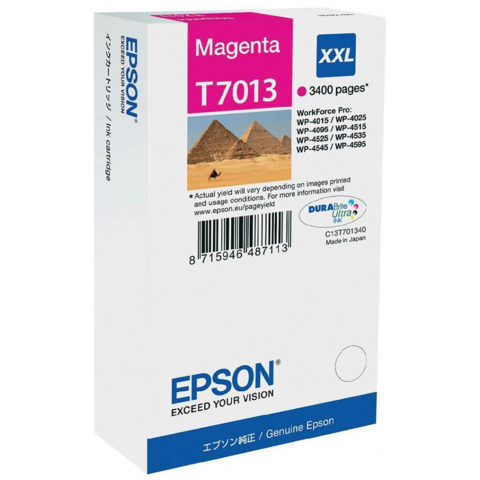 Картридж Epson C13T70134010