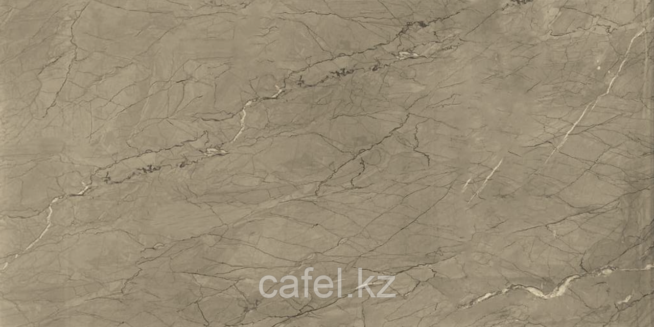 Керамогранит 120х60 Silver flower beige