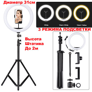 Кольцевая лампа LED RING s31 31см с держателем для смартфона штатив 50-210см регулируется, фото 2