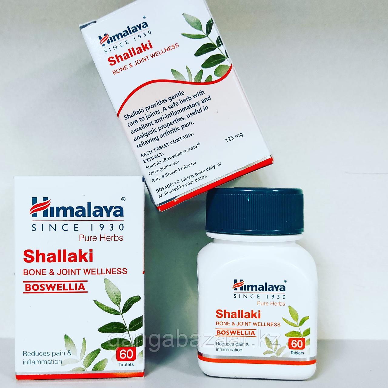 Шаллаки (Shallaki Himalaya) - при проблемах с опорно-двигательным аппаратом, при заболеваниях суставов, 60 таб