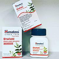 Шаллаки (Shallaki Himalaya) - при проблемах с опорно-двигательным аппаратом, при заболеваниях суставов, 60 таб