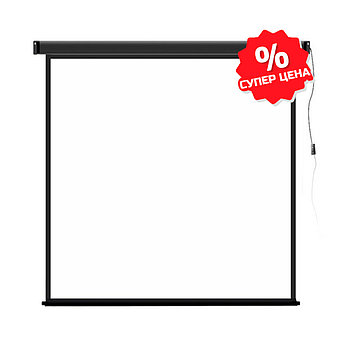 Экран моторизированный Deluxe DLS-E213x (84"х84"), Ø - 118", Раб. поверхность 205х205 см., 1:1