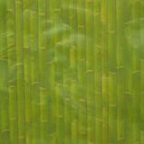 Штора для ванной комнаты Доляна «Бамбук», 180×180 см, EVA, цвет зелёный, фото 2