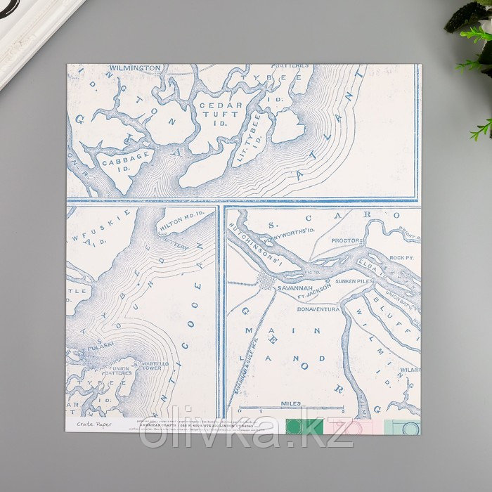 Бумага для скрапбукинга двусторонняя "Snapshot" 30.5х30.5 см, 190 гр/м2