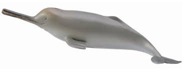 Collecta Фигурка Речной дельфин