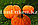 Искусственная тыква декоративная муляж маленькая оранжевая 10,5х12 см, фото 10