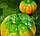 Искусственная тыква декоративная муляж средняя оранжево-зеленая 13х15,5 см, фото 3