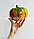 Искусственная тыква декоративная муляж средняя оранжево-зеленая 13х15,5 см, фото 7