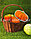 Искусственная тыква декоративная муляж средняя оранжевая 12х17,5 см, фото 9