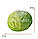 Искусственная капуста декоративная муляж маленькая зеленая 10х13 см, фото 2