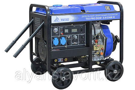 ДИЗЕЛЬНЫЙ СВАРОЧНЫЙ ГЕНЕРАТОР TSS PRO DGW 3.0/250E-R, фото 2