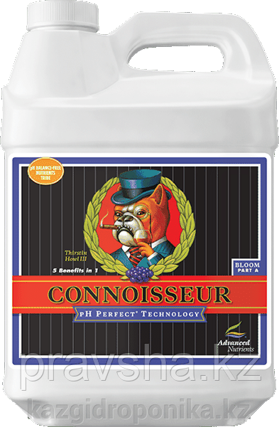 PH Perfect Connoisseur Bloom Parts A & B 1л
