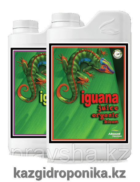 Iguana Juice Organic Bloom 1л