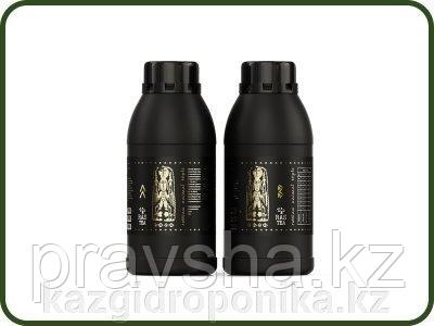 RasTea Coco A+B 0,5 L