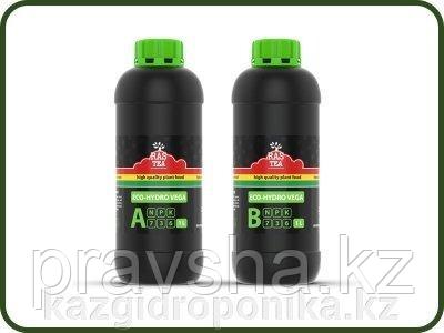 RasTea Eco-Hydro Vega A/B 1L